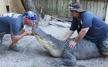 Meet the Gator Boys in Discovery's new series premiering today