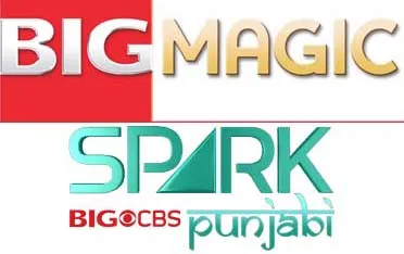 Big Magic and Spark Punjabi adorn new avatars