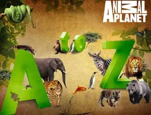 Animal Planet lines up A-Z ultimate guide to wildlife