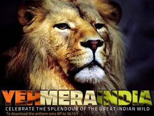 Animal Planet celebrates India’s wildlife with ‘Yeh Mera India’