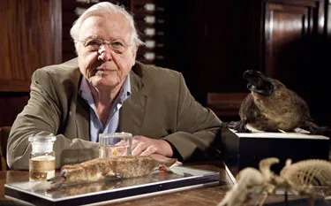 Sir David Attenborough uncovers mysteries of nature on Animal Planet