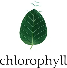 Chlorophyll launches new agency on 15th anniversary