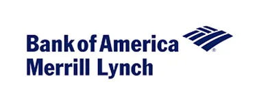 Digitisation will be a slow process: Bank of America Merrill Lynch