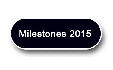 Milestones 2015 - The Big Moments Recapitulated