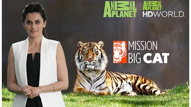 Animal Planet presents ‘Mission Big Cat’ to educate viewers on need to save tigers
