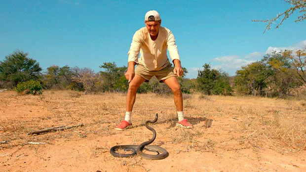 Discovery Channel to premiere Wild Frank-Black Mamba