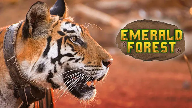 Epic to launch ‘Emerald Forest’, a docu-series on return of tigers in Panna National Park
