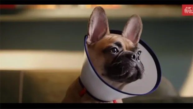 Future Generali India Insurance unveils campaign to highlight importance of  'dog health insurance' : Best Media Info