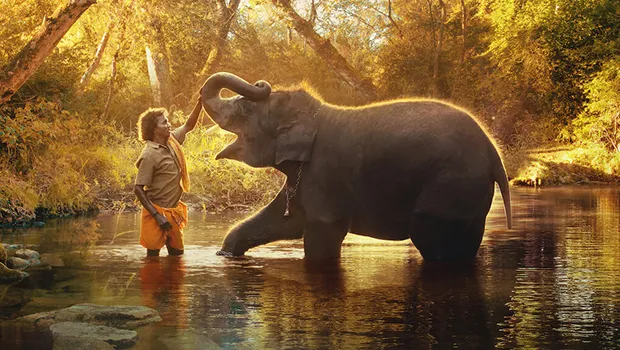 Netflix’s The Elephant Whisperers bags nomination at 95th Oscars